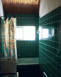 Листовые стеновые панели в интерьере ванной