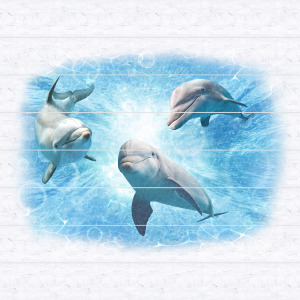 Потолок ПВХ декоративный Дельфины