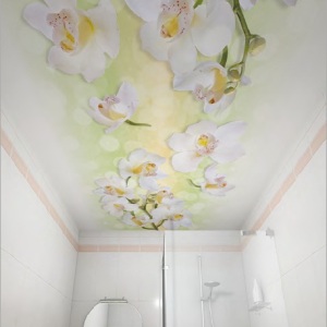 Потолок ПВХ декоративный Орхидеи