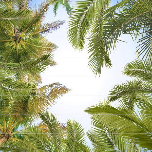 Потолок ПВХ декоративный Пальмы