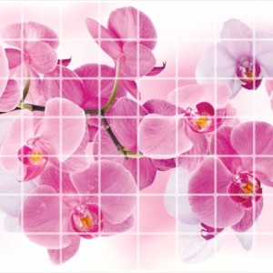 Панель ПВХ листовая Мозаика Орхидея розея